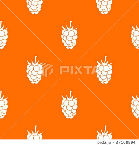 Blackberry fruit pattern seamless 37168994