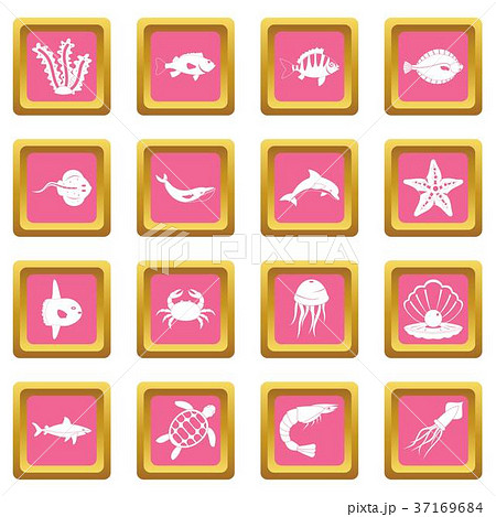 Sea animals icons pink Sea animals icons pink 37169684