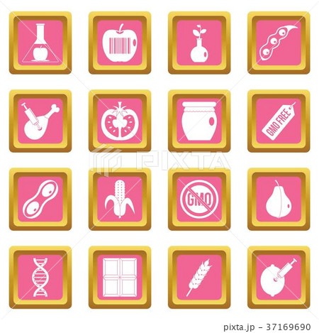 GMO icons pink 37169690