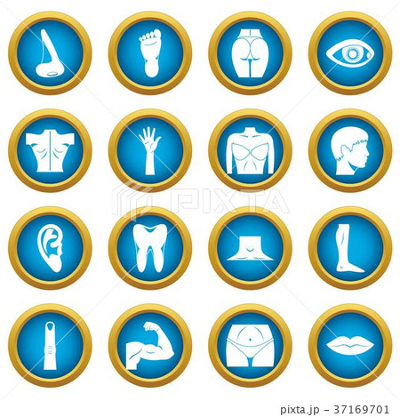 Body parts icons blue circle setのイラスト素材 [37169701] - PIXTA