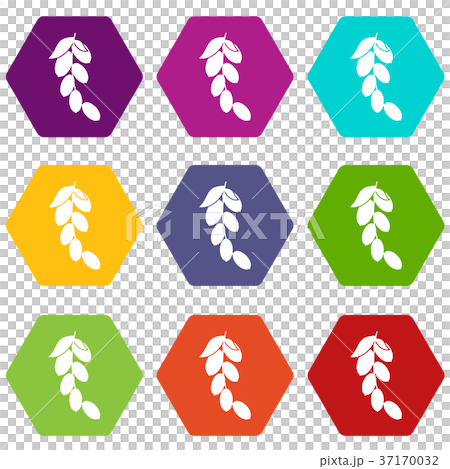 Branch of cornel or dogwood berries icon set color hexahedron 37170032