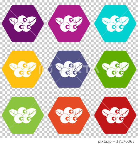 Blueberries icon set color hexahedron Blueberries icon set color hexahedron 37170365