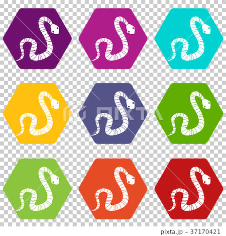 Striped snake icon set color hexahedron Striped snake icon set color hexahedron 37170421
