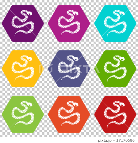 Python snake icon set color hexahedronのイラスト素材 [37170596] - PIXTA