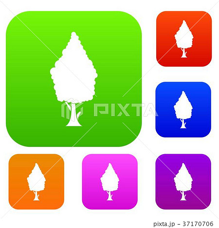 Cypress set collection 37170706