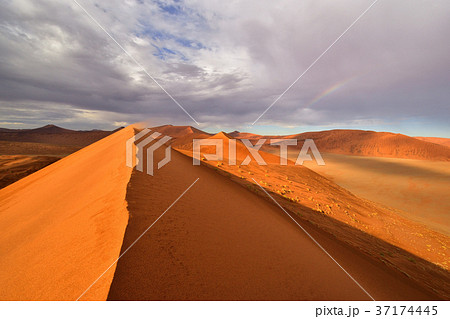 アフリカ_ナミブ砂漠02 アフリカ_ナミブ砂漠02 37174445