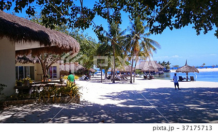 南国のビーチ 37175713