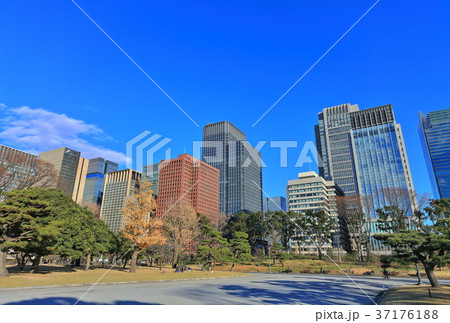 皇居前広場と大手町高層ビル群 皇居前広場と大手町高層ビル群 37176188