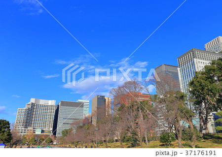 皇居前広場と大手町高層ビル群 37176191