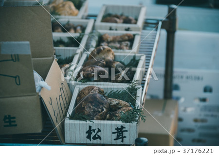 fish market fish market 37176221
