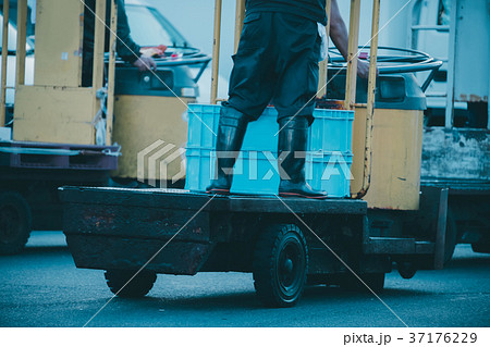 fish market 37176229