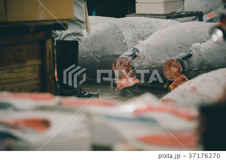 fish market fish market 37176270