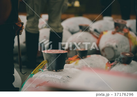 fish market fish market 37176296