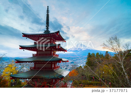 Mt. Fuji with Chureito Pagoda in autumn Mt. Fuji with Chureito Pagoda in autumn 37177071