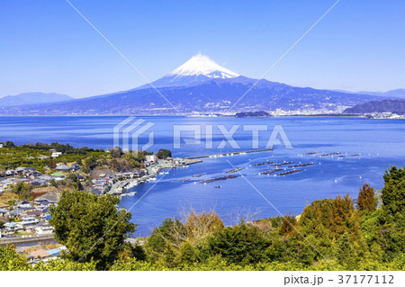 富士山と駿河湾の風景、静岡県沼津市西浦木負にて 37177112