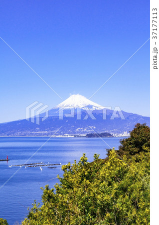 富士山、静岡県沼津市西浦木負にて 37177113