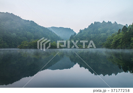 淡海湖の朝 37177258