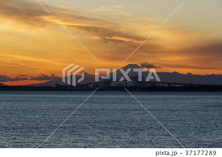東京ゲートブリッジと富士山・夕景 東京ゲートブリッジと富士山・夕景 37177289