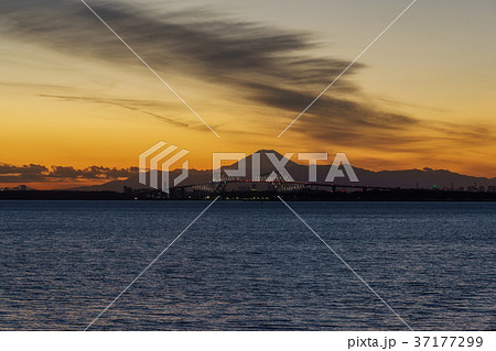 東京ゲートブリッジと富士山・夕景 東京ゲートブリッジと富士山・夕景 37177299