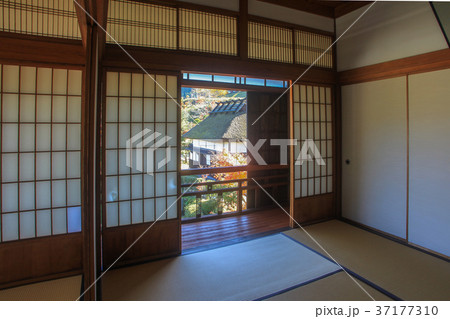 北里柴三郎記念館 北里柴三郎記念館 37177310