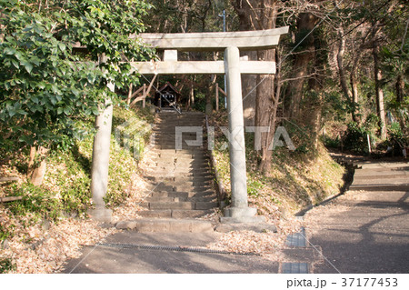 吾妻神社 二宮 吾妻神社 二宮 37177453