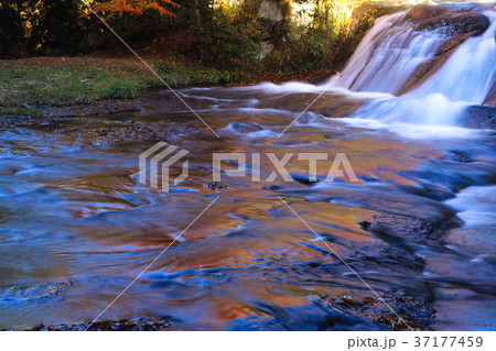 秋の遊水峡 37177459