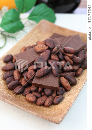 カカオ豆 カカオ豆 37177544