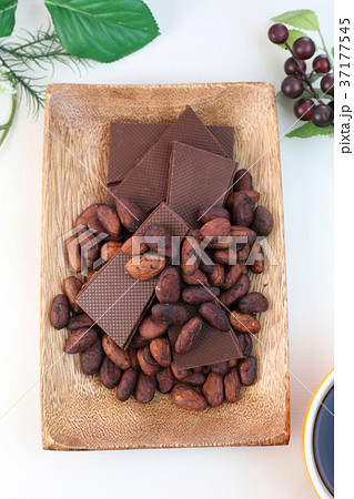 カカオ豆 37177545