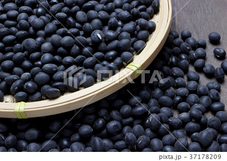 黒豆 37178209