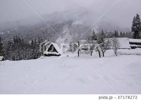 富山五箇山 相倉合掌造り1 富山五箇山 相倉合掌造り1 37178272