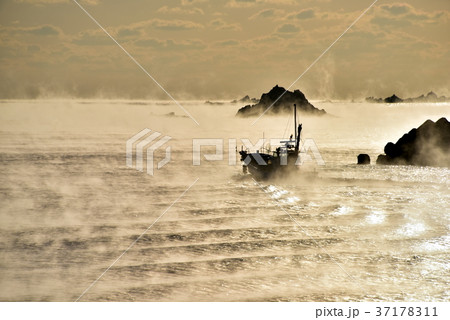高知久礼湾の気嵐と漁船 高知久礼湾の気嵐と漁船 37178311
