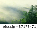 斜光 斜光 37178471