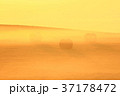 朝日に染まる霧 朝日に染まる霧 37178472