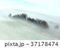 流れる霧 流れる霧 37178474