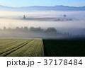 丘に立ちこめる霧 丘に立ちこめる霧 37178484
