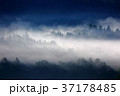 谷間に煙る霧 谷間に煙る霧 37178485