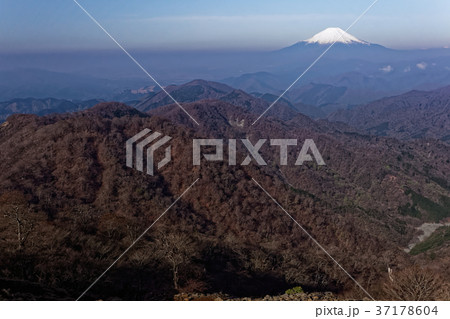 丹沢・塔ノ岳から見る早春の富士山と鍋割山稜 丹沢・塔ノ岳から見る早春の富士山と鍋割山稜 37178604