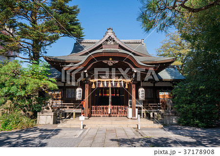 京都　熊野神社　 37178908