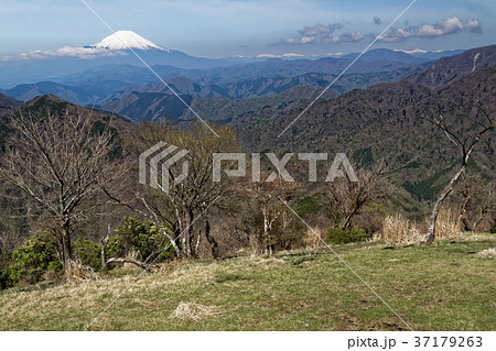 早春の丹沢・鍋割山から望む富士山 早春の丹沢・鍋割山から望む富士山 37179263