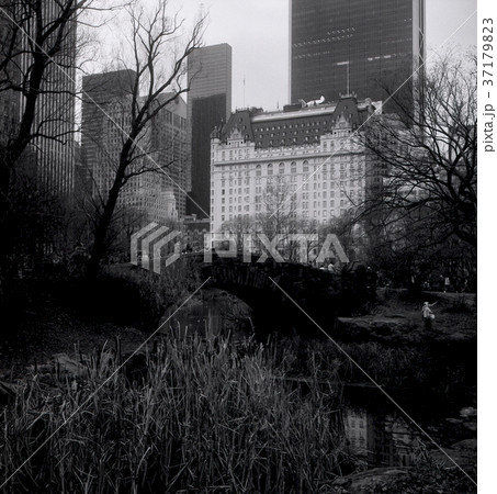 セントラルパーク 37179823