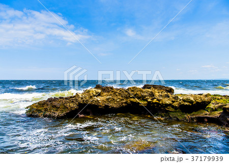 猿島　無人島（横須賀） 37179939