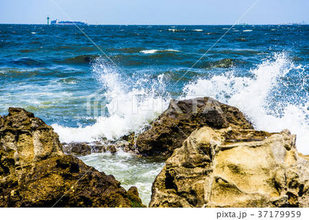 猿島　無人島（横須賀） 37179959