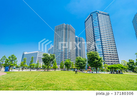 高島中央公園 高島中央公園 37180306