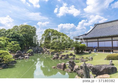 二条城の二の丸庭園 37180382