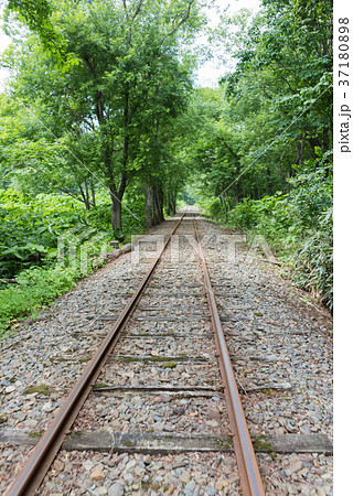 トロッコ王国 37180898