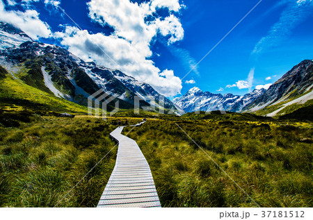 真夏のマウントクック 37181512