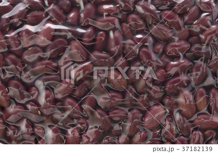 袋に入った金時豆 袋に入った金時豆 37182139