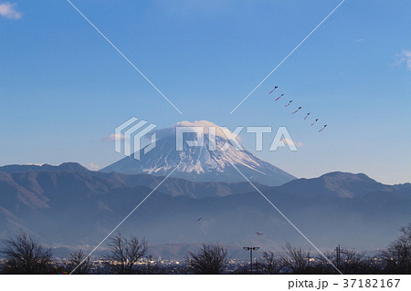 富士山と連凧 富士山と連凧 37182167
