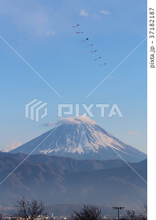 富士山と連凧 富士山と連凧 37182187