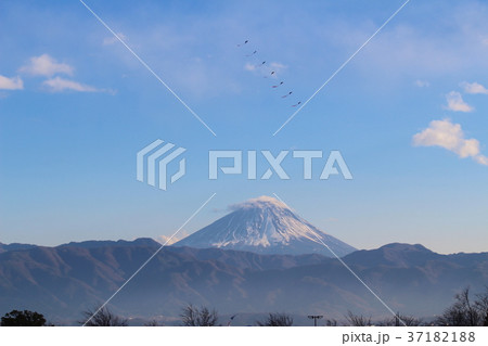 富士山と連凧 富士山と連凧 37182188